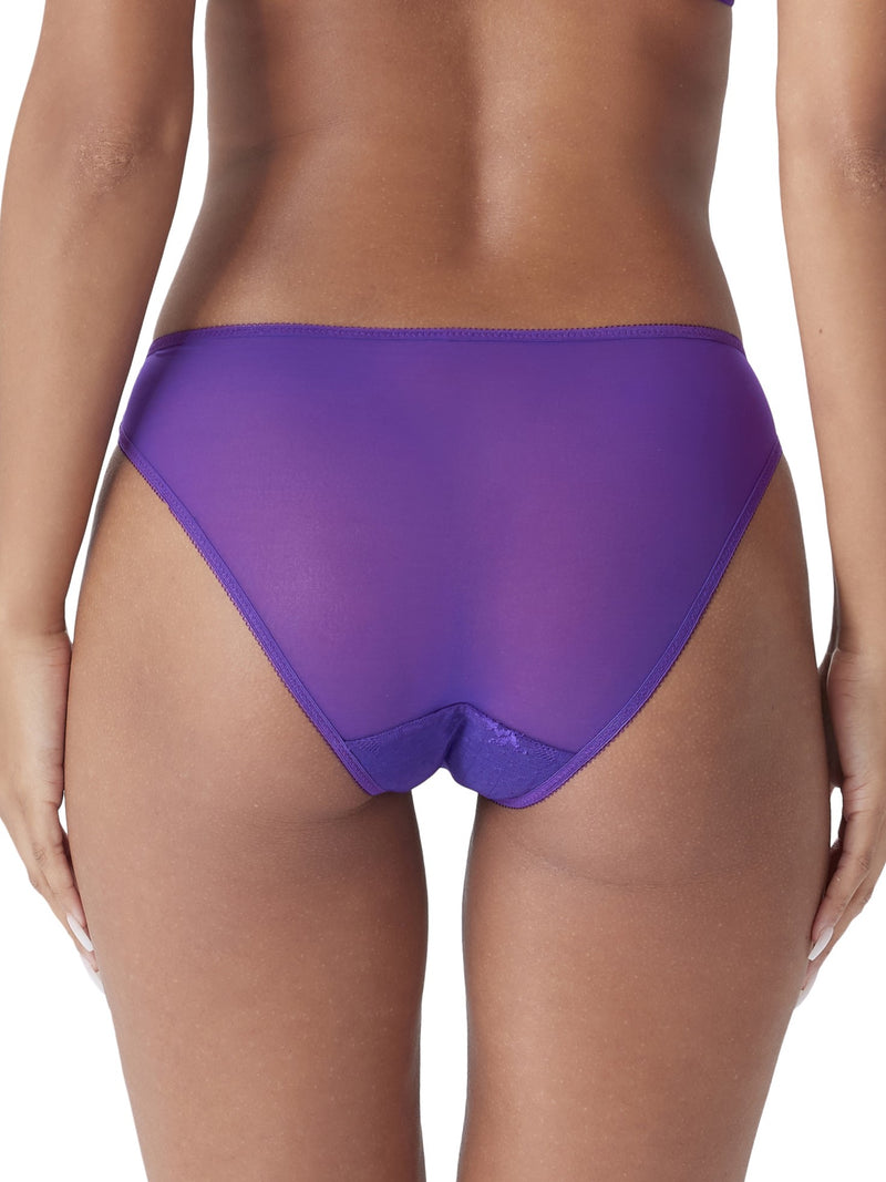 Glossies lace brief Fashion -  - glossies-lace-brief-fashion-1 - The Pencil Test