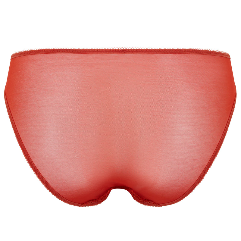 Glossies lace brief Paprika -  - glossies-lace-brief-paprika - The Pencil Test