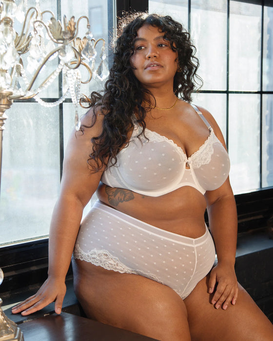 Sheer whisper cheeky - Curvy Couture - sheer-whisper-cheeky - The Pencil Test - Curvy Couture