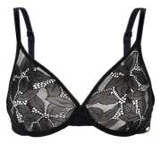 Glossies Lotus -  - glossies-lotus - The Pencil Test