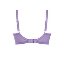 Load image into Gallery viewer, Envy Fashion Sale - Panache - envy-fashion-2 - The Pencil Test - Panache
