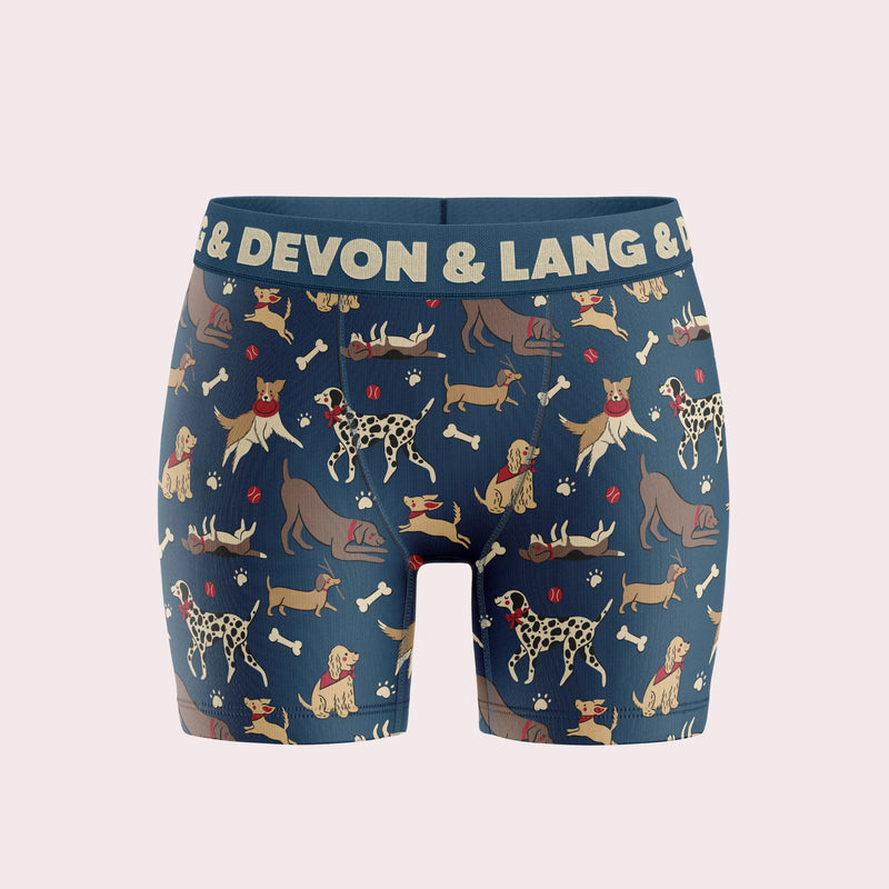 Bria boxer brief