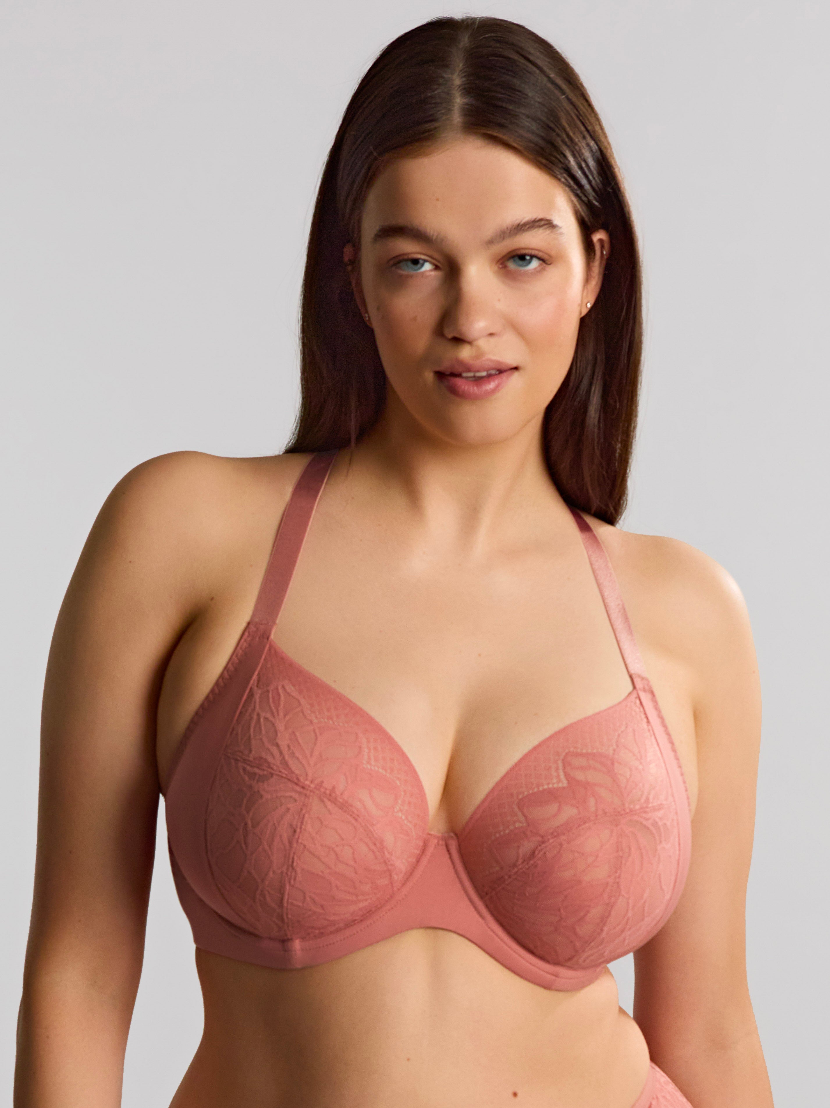 Sophia plunge