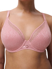 Belle lace plunge -  - belle-plunge - The Pencil Test