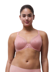 Belle lace plunge -  - belle-plunge - The Pencil Test