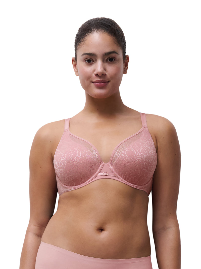 Belle lace plunge -  - belle-plunge - The Pencil Test