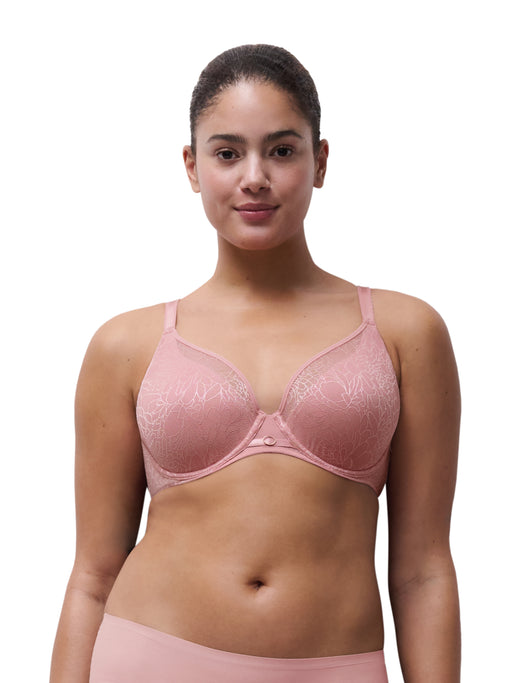 Belle lace plunge -  - belle-plunge - The Pencil Test