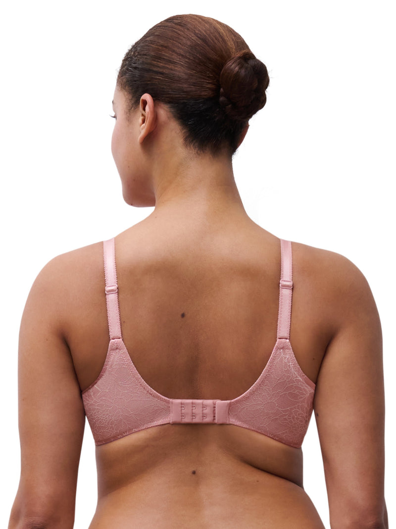 Belle lace plunge -  - belle-plunge - The Pencil Test