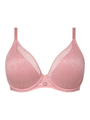 Belle lace plunge -  - belle-plunge - The Pencil Test