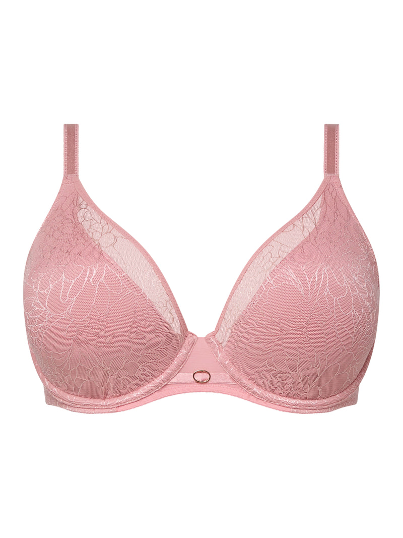 Belle lace plunge -  - belle-plunge - The Pencil Test