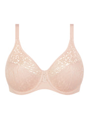Norah -  - norah-seamless-bra - The Pencil Test