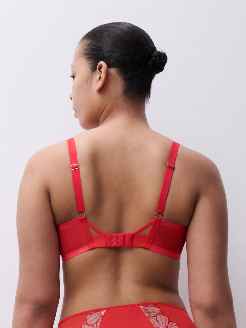 Lush unlined Flamboyant flower -  - lush-unlined-flamboyant-flower - The Pencil Test