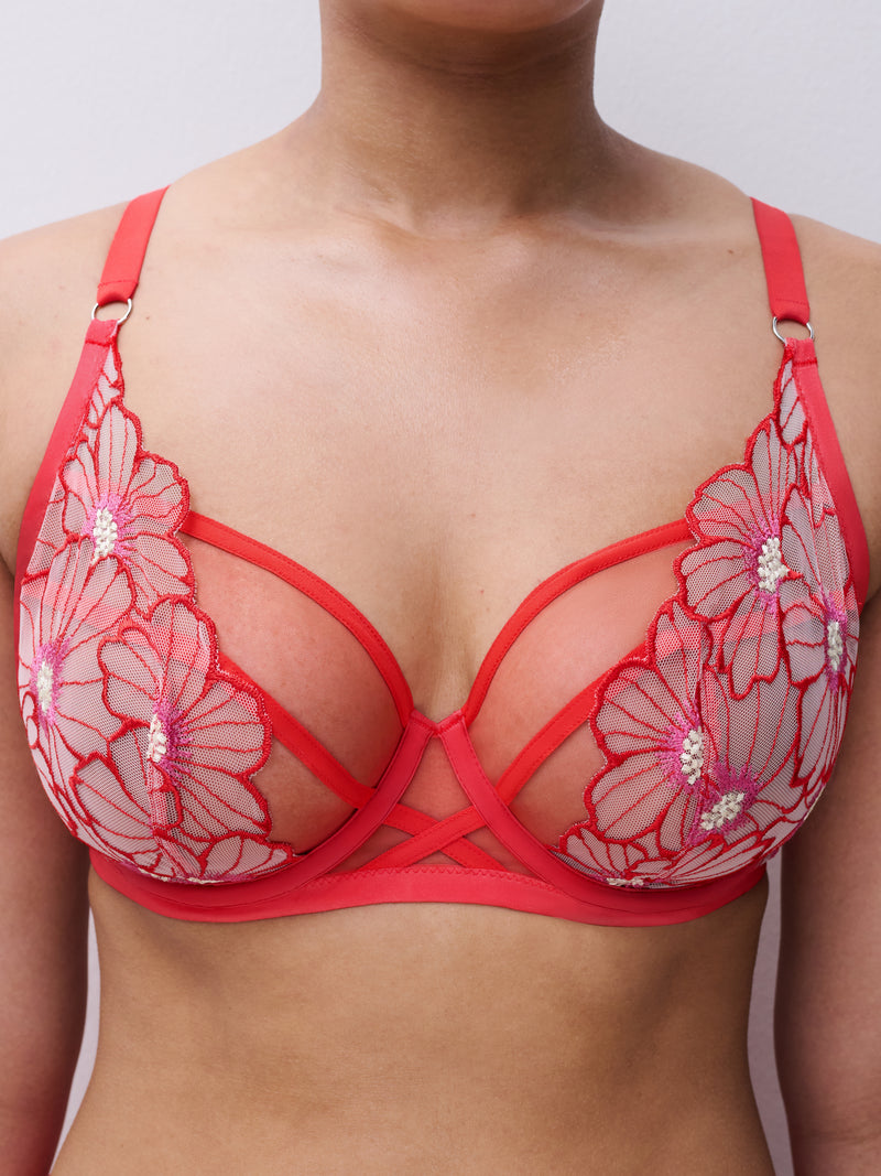 Lush unlined Flamboyant flower -  - lush-unlined-flamboyant-flower - The Pencil Test