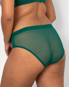 Sheer mesh brief - Curvy Couture - sheer-mesh-hc-brief - The Pencil Test - Curvy Couture