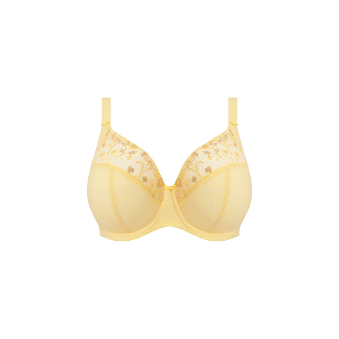 Charley plunge Fashion - Elomi - charley-plunge-fashion-copy - The Pencil Test - Elomi