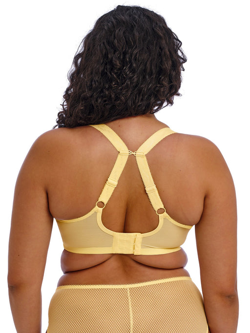 Charley plunge Fashion - Elomi - charley-plunge-fashion-copy - The Pencil Test - Elomi