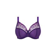 Charley plunge Fashion - Elomi - charley-plunge-fashion-1 - The Pencil Test - Elomi