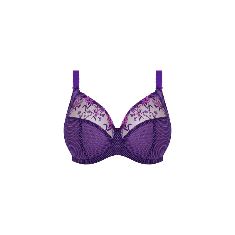 Charley plunge Fashion - Elomi - charley-plunge-fashion-1 - The Pencil Test - Elomi