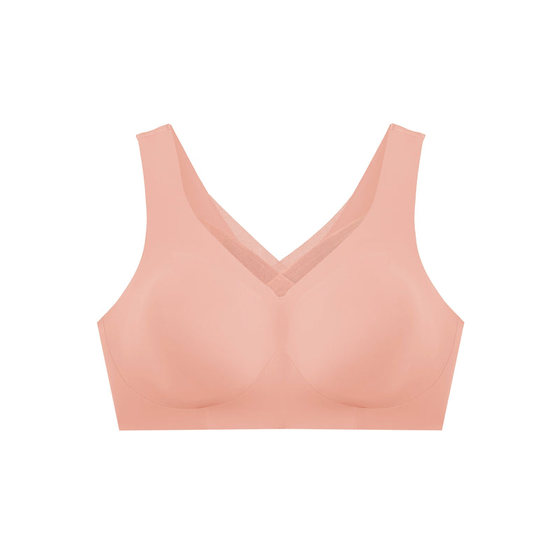 Evelyn mesh