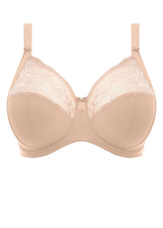Morgan -  - morgan-uw-banded-bra-solid - The Pencil Test