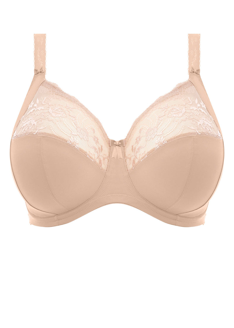 Morgan -  - morgan-uw-banded-bra-solid - The Pencil Test