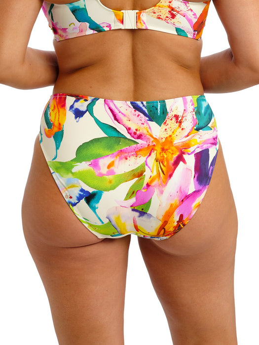 Iguazu Falls swim brief