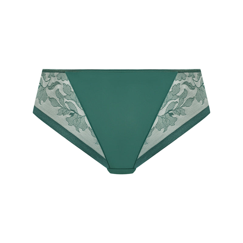 Illusion brief