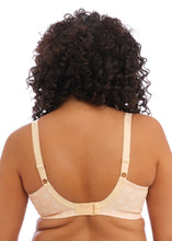 Load image into Gallery viewer, Kim - Elomi - copy-of-kim-plunge-bra - The Pencil Test - Elomi
