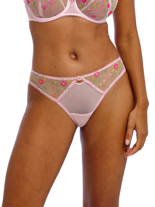 Love crush brief
