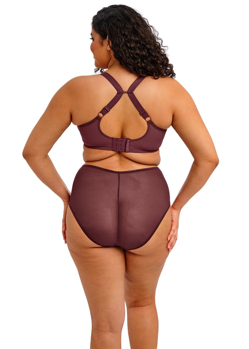 Matilda full brief Sugarplum
