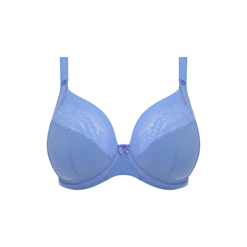 Nerina plunge