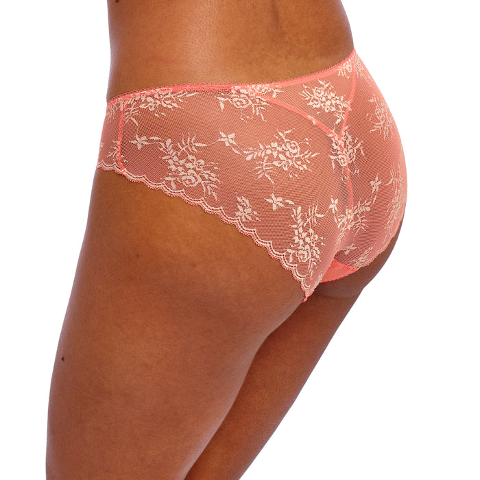 Offbeat decadence Brief Sunset coral