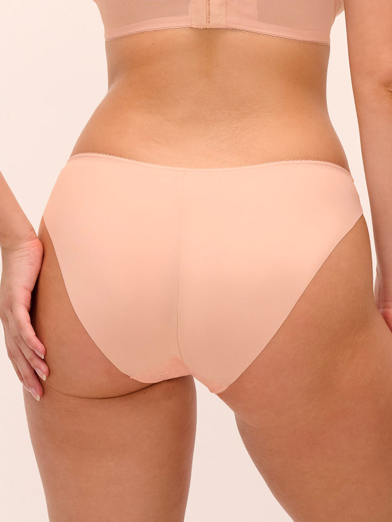Quinn brief