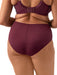 Sachi brief Fashion - Elomi - sachi-brief-fashion - The Pencil Test - Elomi