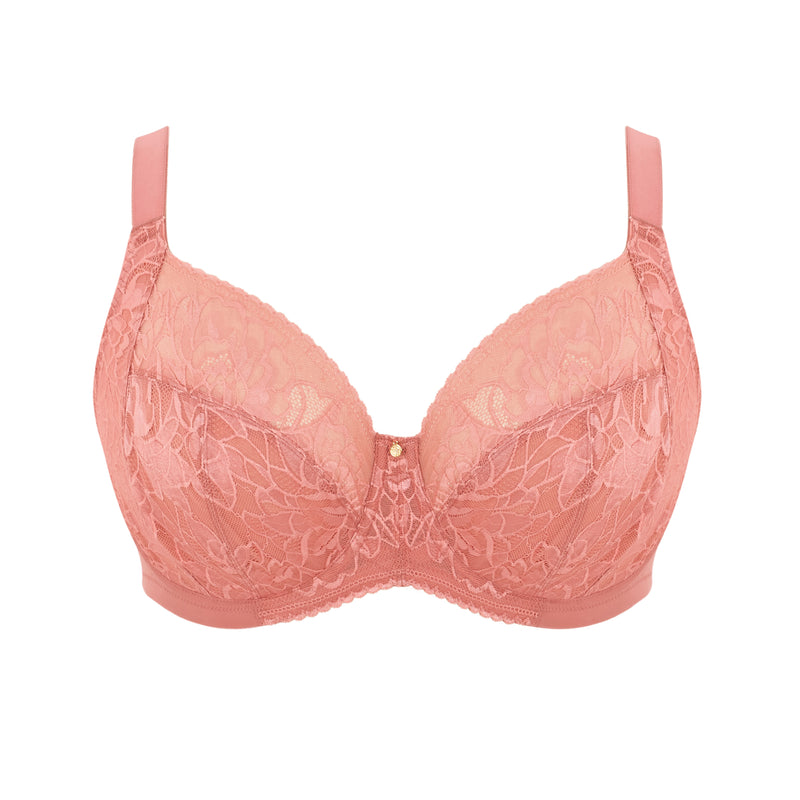 Dream full cup -  - dream-full-cup-1 - The Pencil Test