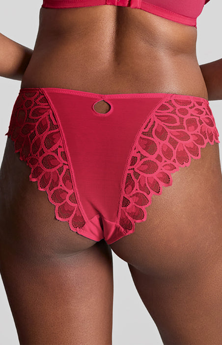Allure brief