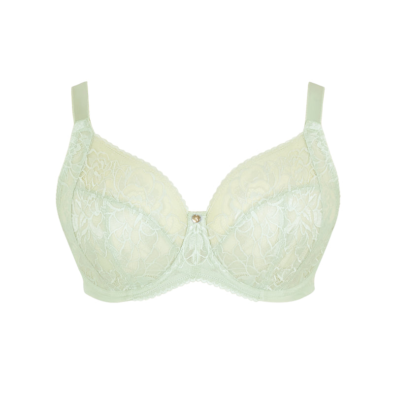 Dream full cup Pistachio -  - dream-full-cup-pistachio - The Pencil Test