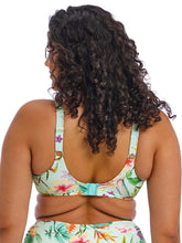 Load image into Gallery viewer, Sunshine cove bikini top - Elomi Swim - sunshine-cove-bikini - The Pencil Test - Elomi Swim
