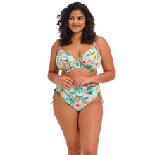 Load image into Gallery viewer, Sunshine cove bikini brief - Elomi Swim - sunshine-cove-bikini-brief - The Pencil Test - Elomi Swim
