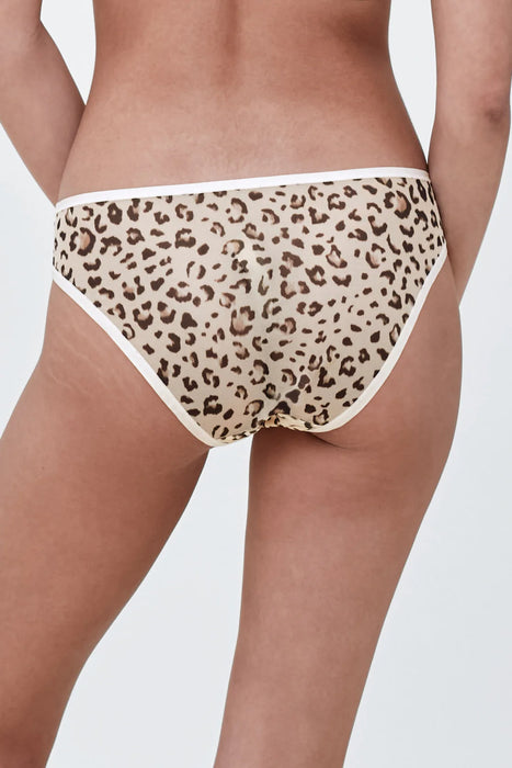 Spellbound brief -  - spellbound-brief - The Pencil Test