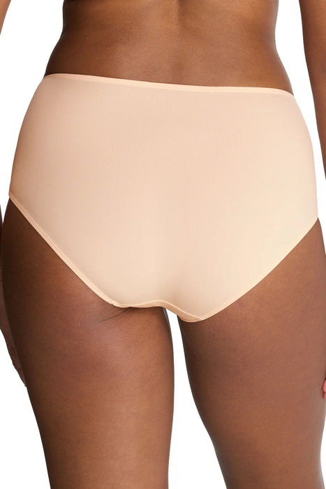 Statement full brief