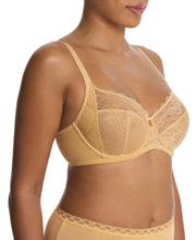 Statement Fashion Golden -  - statement-fashion-golden - The Pencil Test