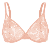Glossies Lotus -  - glossies-lotus - The Pencil Test