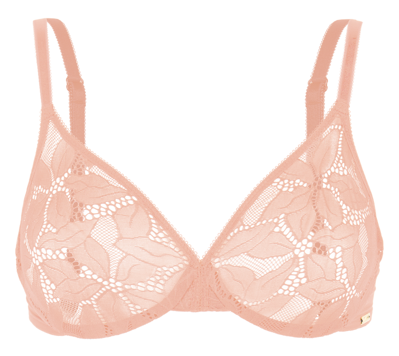 Glossies Lotus -  - glossies-lotus - The Pencil Test